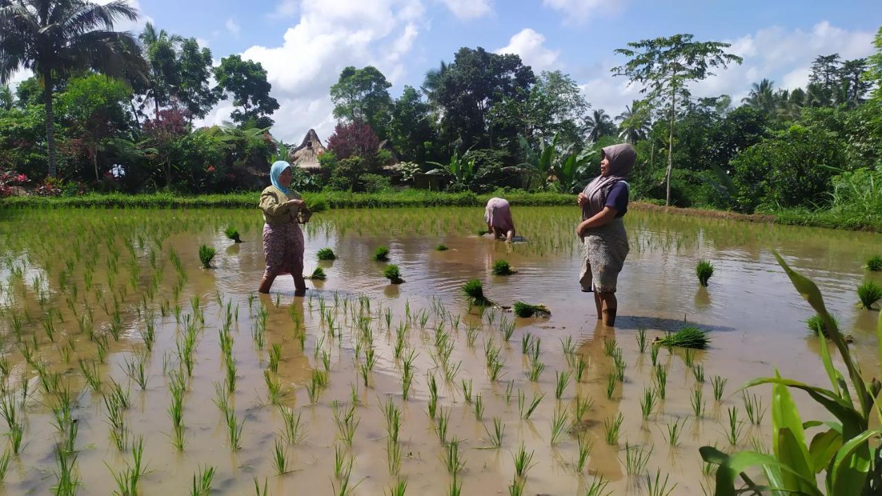 Jaya Homestay 特特巴图 外观 照片